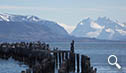 Día 8. Puerto Natales