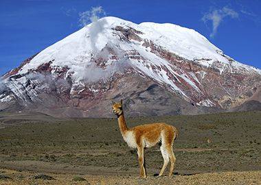 Tour Guiado Cordillera de los Andes